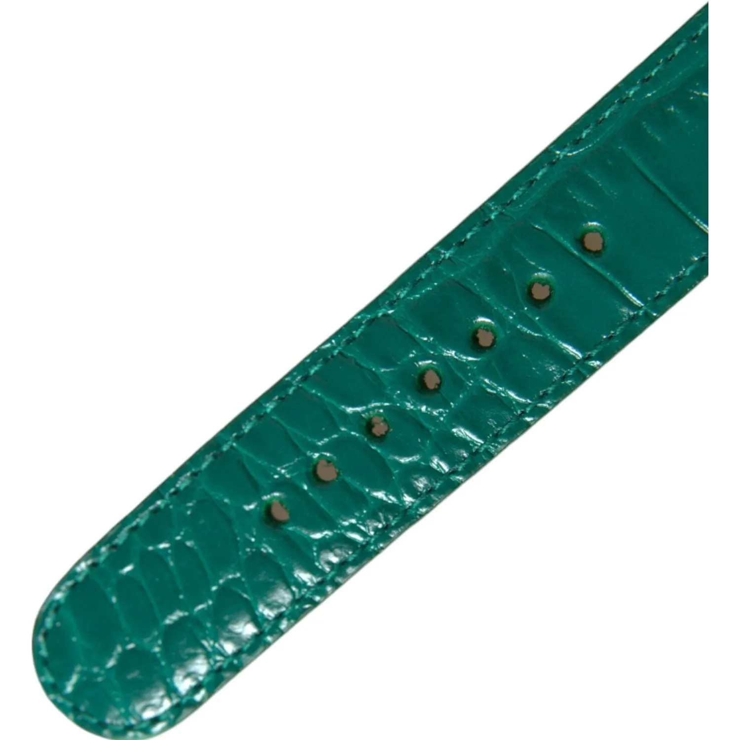 Dolce & Gabbana Elegant Green Leather Neck Band