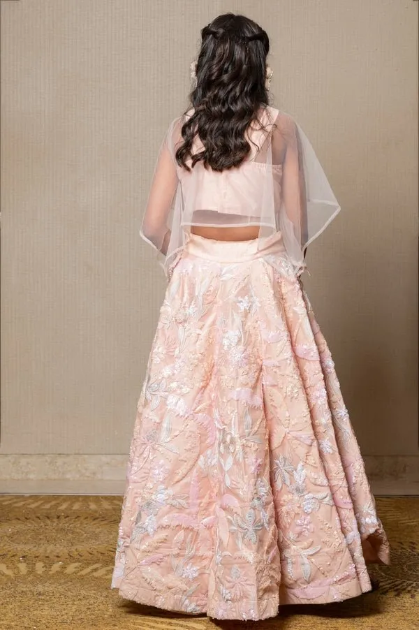 Elegant blush pink ensemble with intricate floral embroidery and a sheer overlay, perfect for any sophisticated occasion