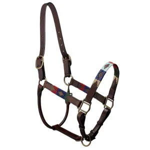 Full/Cob Pampa Headcollar - Multi by Pampeano