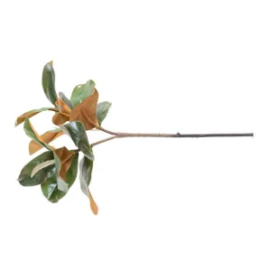 Magnolia Leaf Spray, 22" L